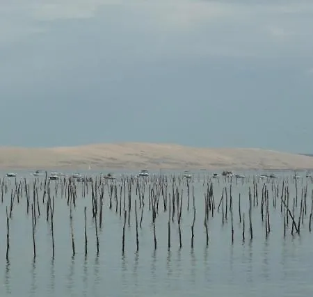 De De Caractere - 14 Pers - Cap Ferret Lège-Cap-Ferret