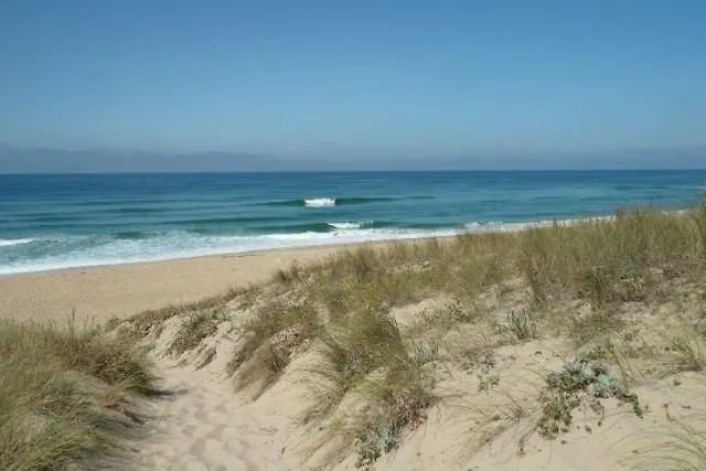 Willa De De Caractere - 14 Pers - Cap Ferret Lège-Cap-Ferret